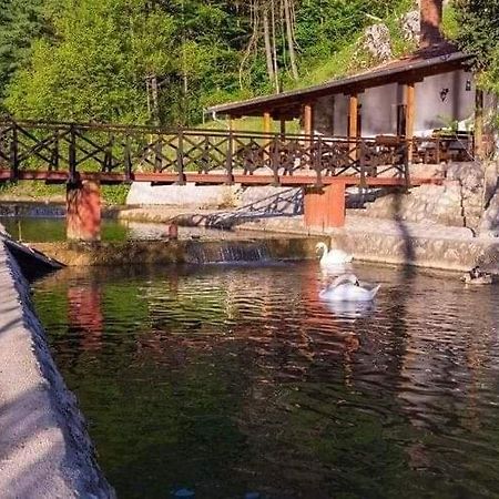 Apartamento Valja Mare Moma Golubac Exterior foto