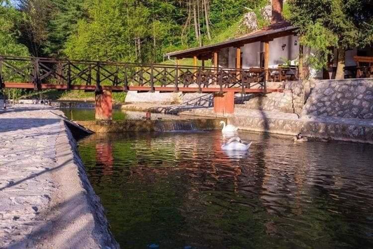 Apartamento Valja Mare Moma Golubac Exterior foto