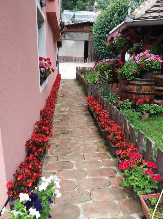 Apartamento Valja Mare Moma Golubac Exterior foto